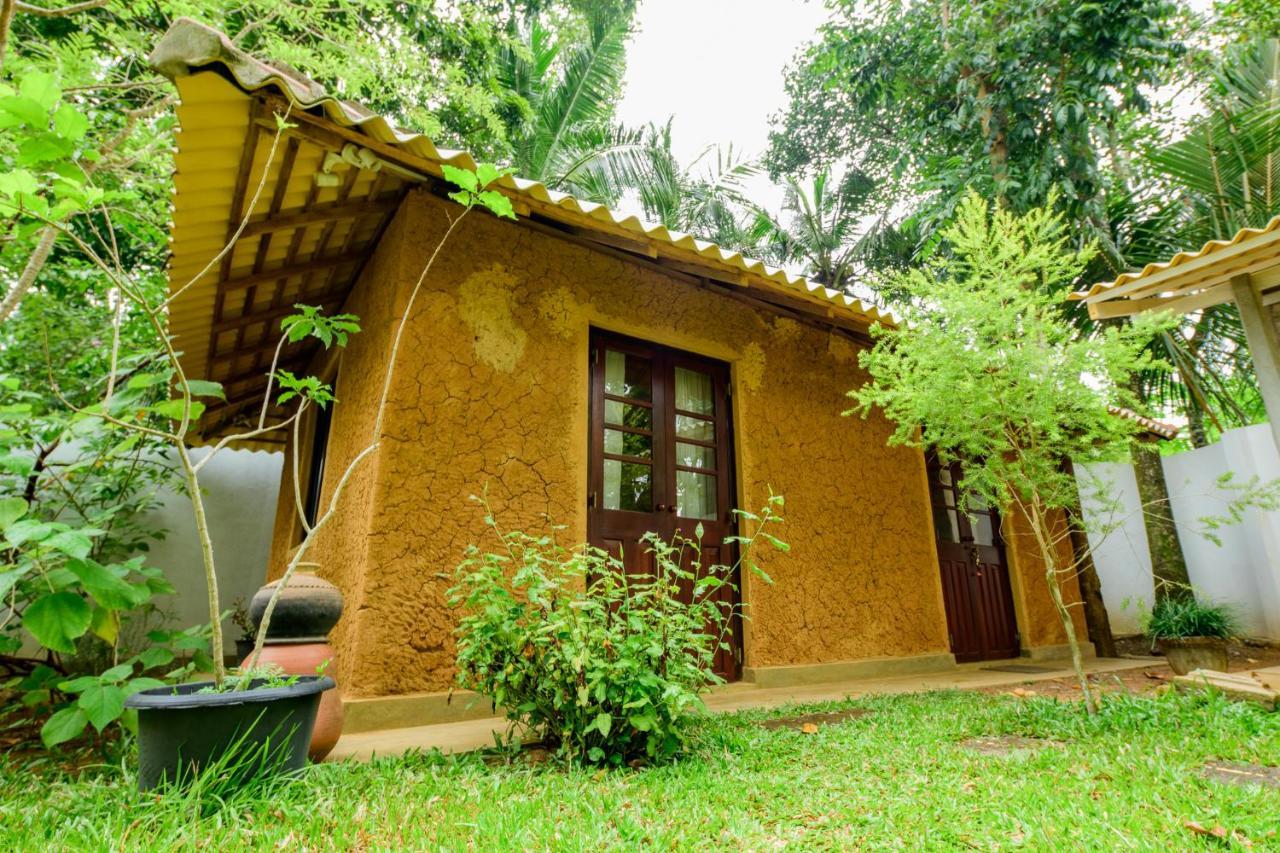 Villa Lotus Hikkaduwa Exteriér fotografie